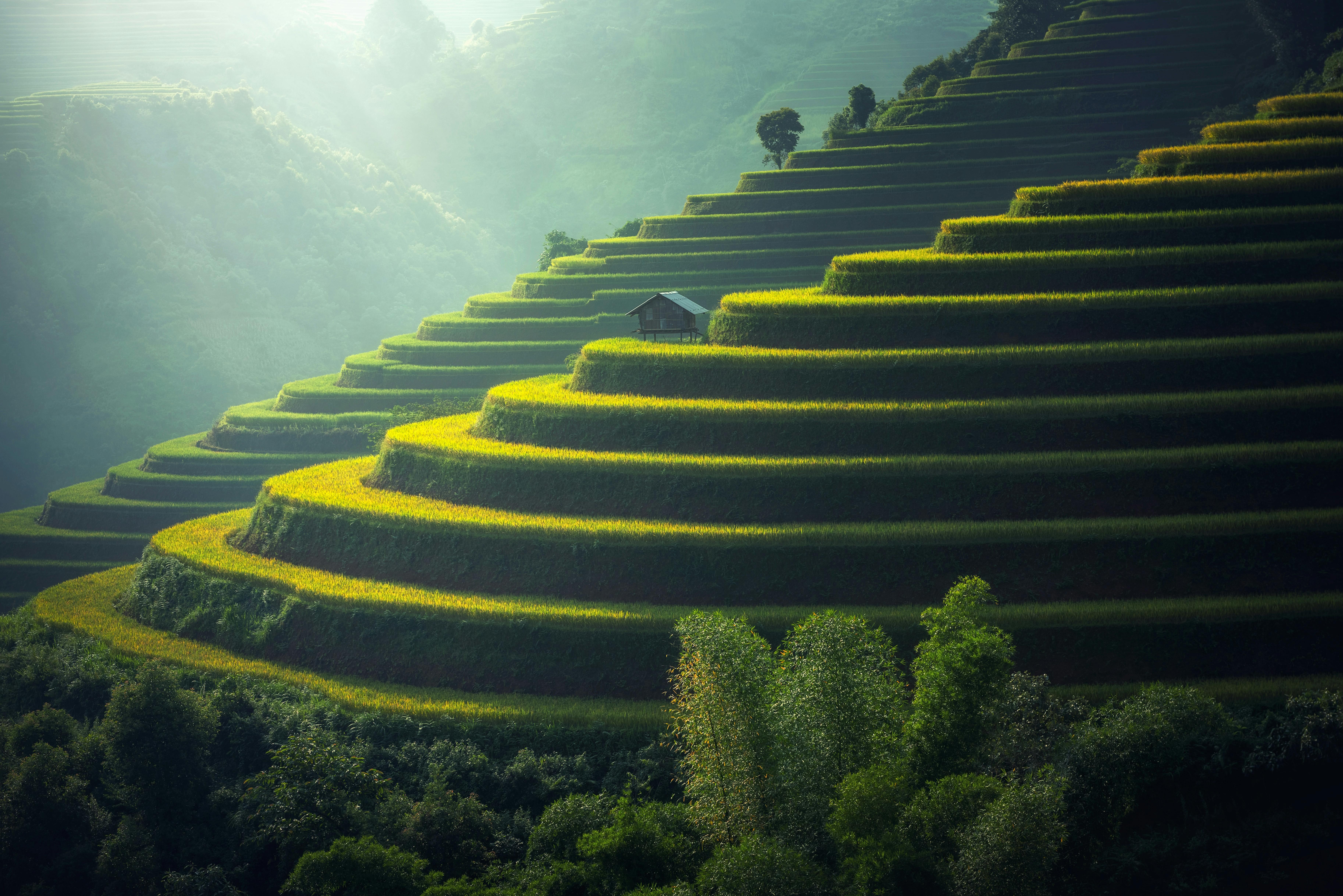 Image of grass stairs